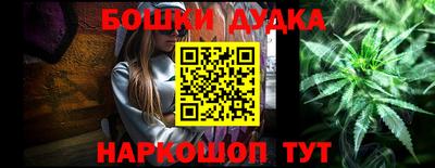 дмт Новокубанск