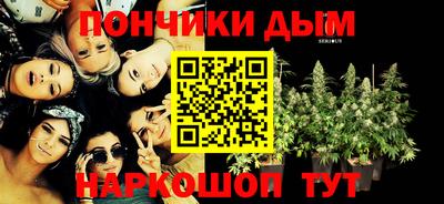 дмт Новокубанск
