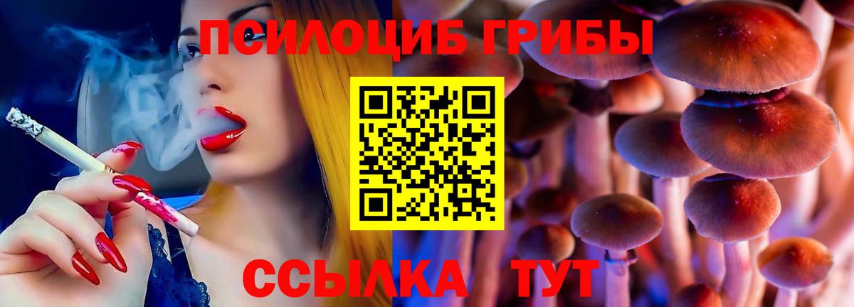 Псилоцибиновые грибы Psilocybine cubensis Троицк